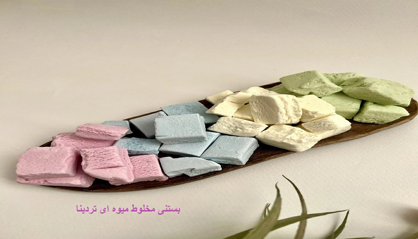 خرید آنلاین بستنی خشک فضایی فریزدرایر